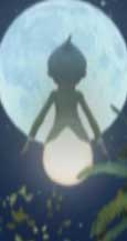 Le Voyage de Luciole06